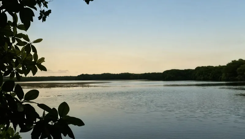 Observación de aves y senderos en selva baja yucateca: 20260822 174812~2
