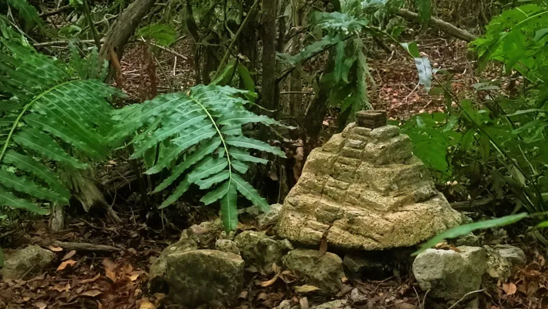 Rancho familiar, milpa y vida comunitaria en Temozón: 20260822 181233~2