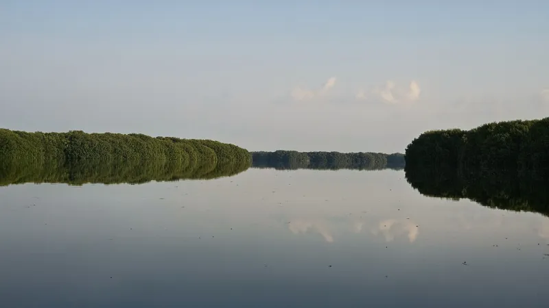 Observación de aves y senderos en selva baja yucateca: 20260823 072456~2