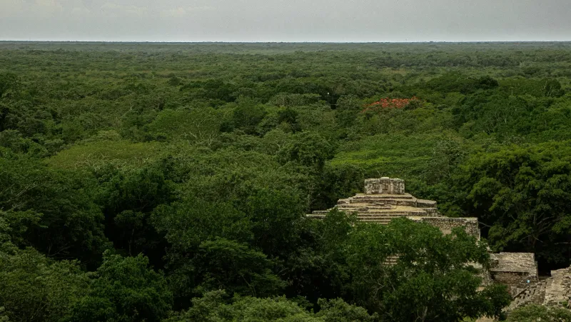 Rancho familiar, milpa y vida comunitaria en Temozón: IMG 1997~2