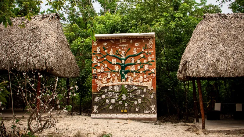 Rancho familiar, milpa y vida comunitaria en Temozón: IMG 2046~2