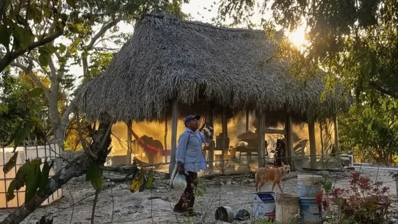 Rancho familiar, milpa y vida comunitaria en Temozón: Screenshot 20260325 015818 Instagram~2