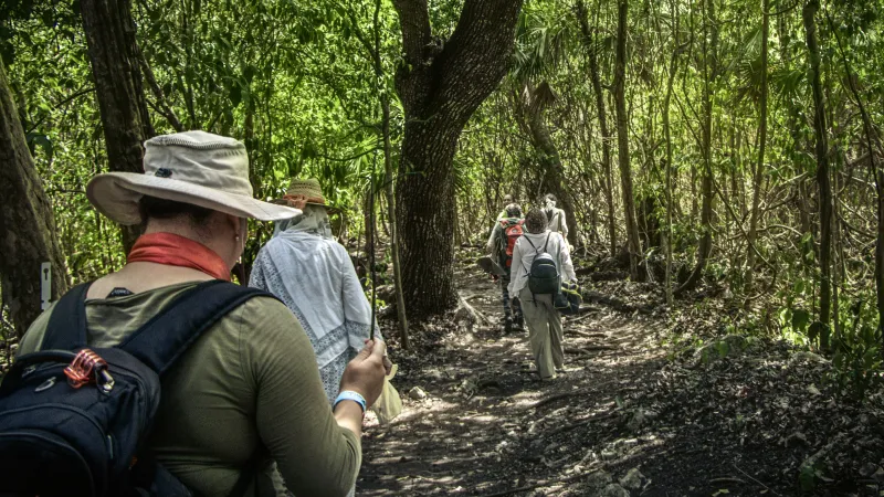 Observación de aves y senderos en selva baja yucateca: MG 5000~2