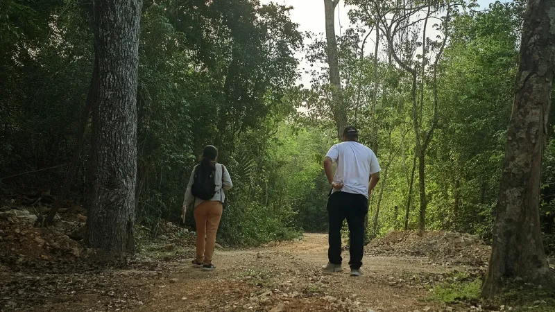 Observación de aves y senderos en selva baja yucateca: r18 java v1srp 20260518 075438 lmc 8.4~2